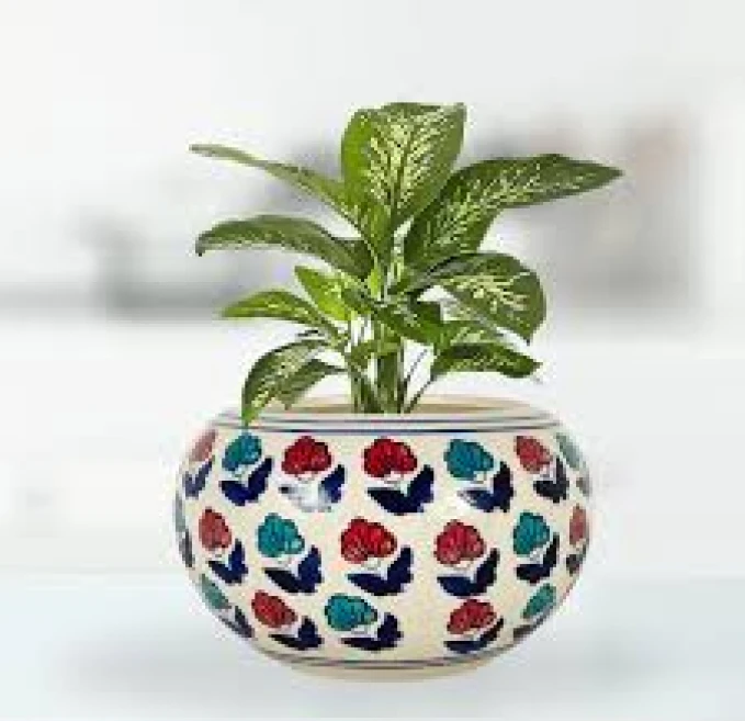 Ceramic Pot