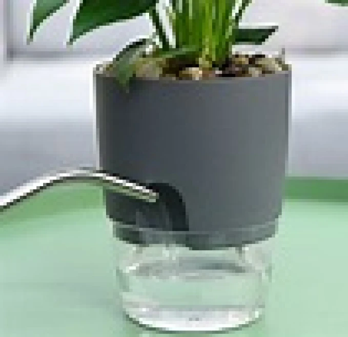 Self Watering Pot